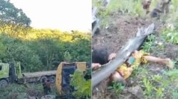 KECELAKAAN!! Excavator Vs Tronton di Siso-TTS, Seorang Nenek Meninggal di Tempat